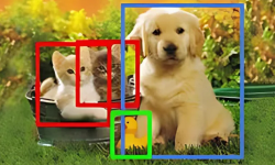 Image classification